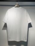 707款P53 面料260克双纱烫闪银粒 S M L XL