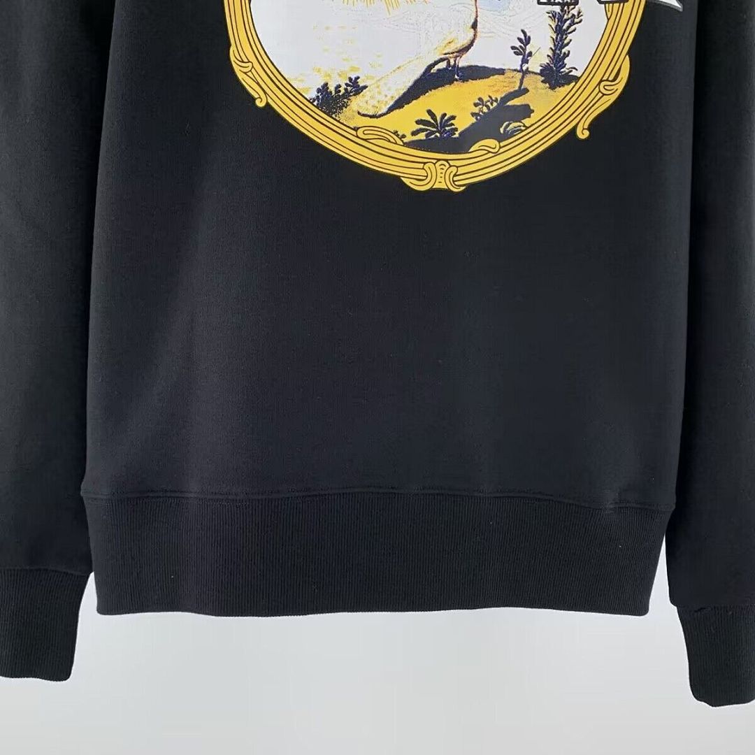 855款 P103 新款高品质2025秋冬360克纯棉毛圈连帽卫衣S  M  L XL