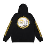 855款 P103 新款高品质2025秋冬360克纯棉毛圈连帽卫衣S  M  L XL