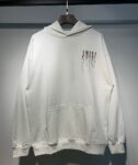 869款 P103 新款高品质2025秋冬360克纯棉毛圈连帽卫衣S M L XL
