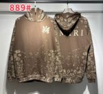 889款 P108 新款高品质2025秋冬360克纯棉毛圈连帽卫衣S M L XL