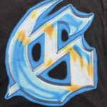 G243   P61