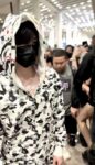 8808 P138双帽