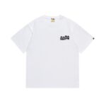 SC019# P45