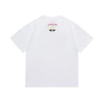 SC013# P45