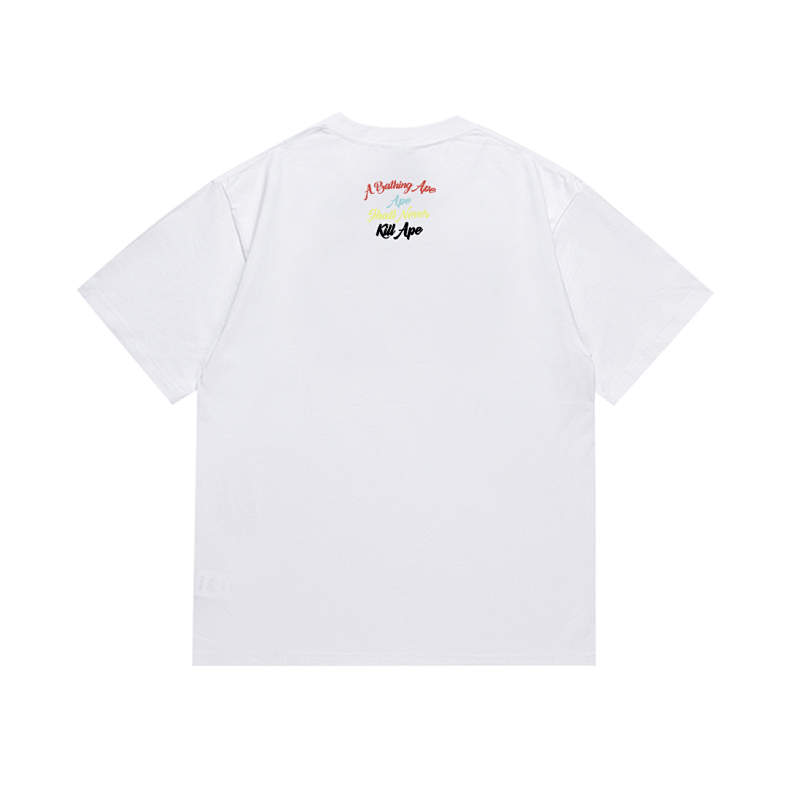 SC013# P45