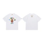 SC013# P45