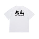 SC011# P45