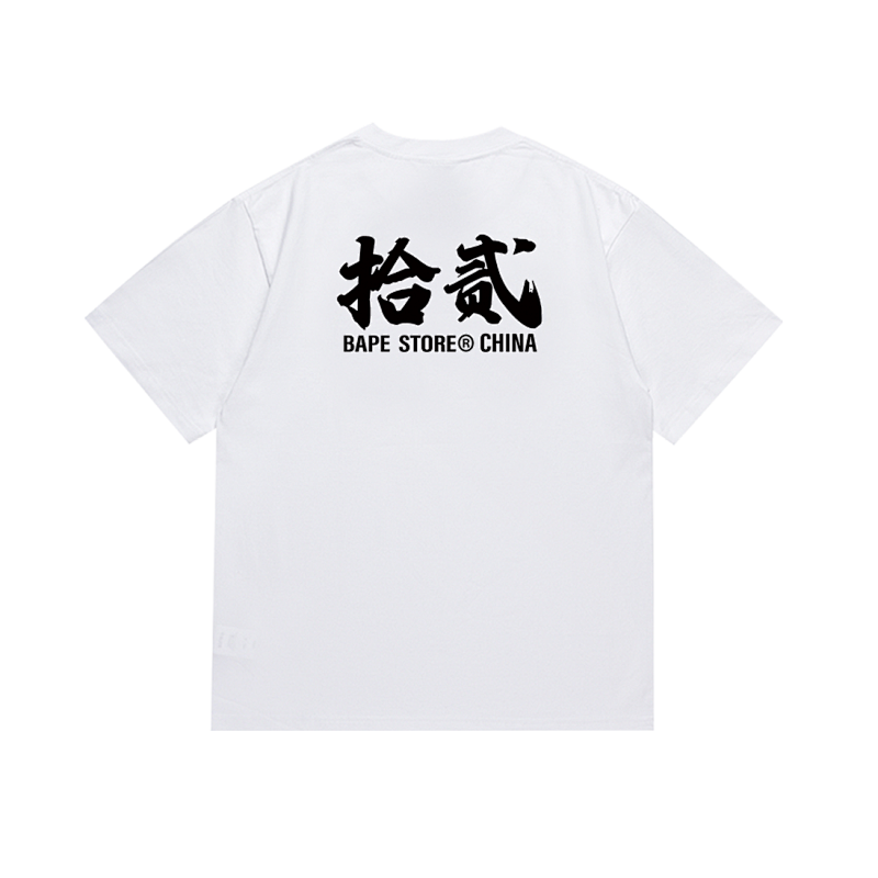 SC011# P45