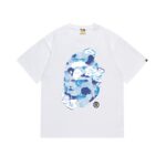 SC011# P45
