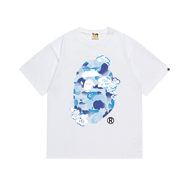 SC011# P45