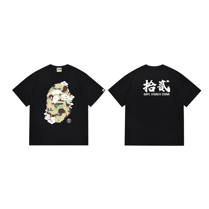SC011# P45