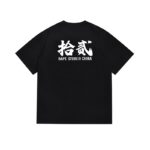 SC011# P45