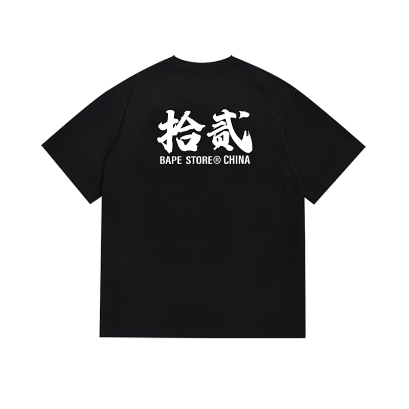 SC011# P45