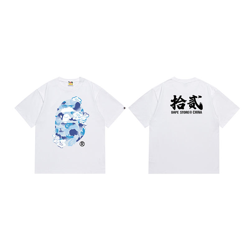 SC011# P45