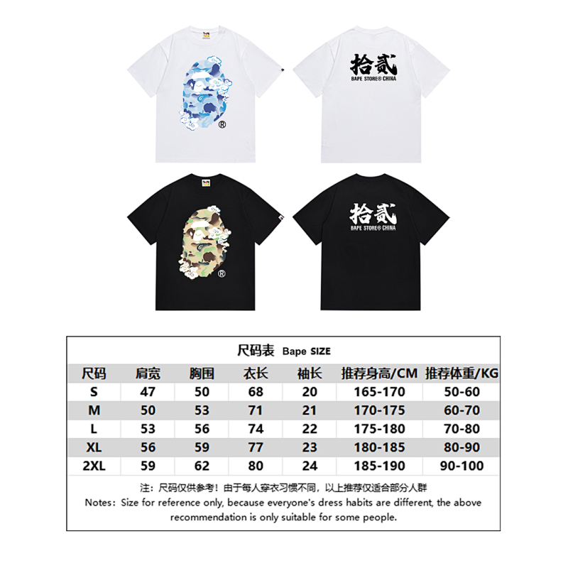 SC011# P45