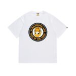 SC037# P45