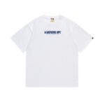 SC034# P45
