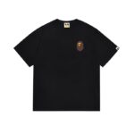 SC033# P45