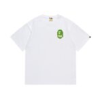 SC031# P45