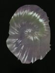 107