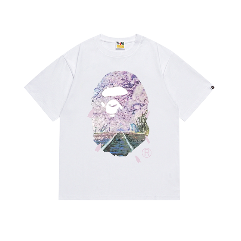 SC003# P45