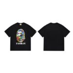 SC006# P45