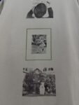 水泥白 P75