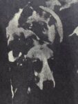 洗水黑 P79