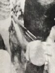 泥白 P62