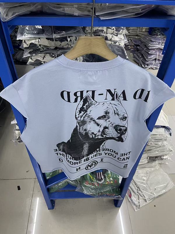 浅蓝 P55