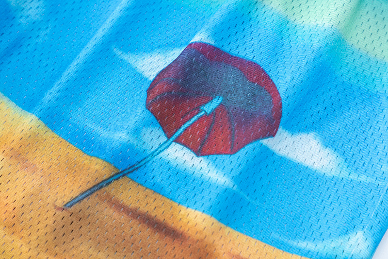 S-XL P48
