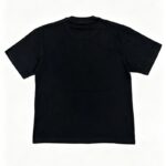 编号201    批55   ALWAYS-PRESENT  Champion T-Shirt 2026美国洛杉矶最新街头潮牌印花烫钻短袖T恤 码数：S  M  L  XL