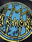 编号115 #P77 HARMONY New Age T-shirt 2026ss欧美最新潮牌白墨直喷烫钻洗水磨破做旧短袖T恤 码数：S  M  L  XL