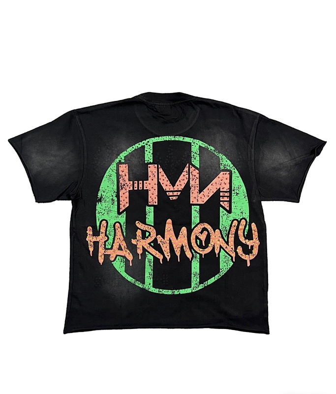 编号102 #P63 HARMONY New Age T-shirt 2026ss欧美最新潮牌印花烫钻洗水做旧短袖T恤 码数：S  M  L  XL