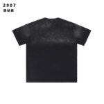 2907 p60