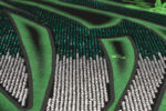 EM39   P63