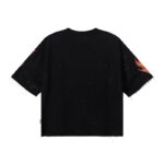 编号BK013，P75 BKYS On Fire F-Terry Cropped Tee