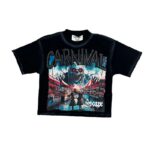 编号BK003#75，BKYS Carnival F-Terry Cropped T-shirt