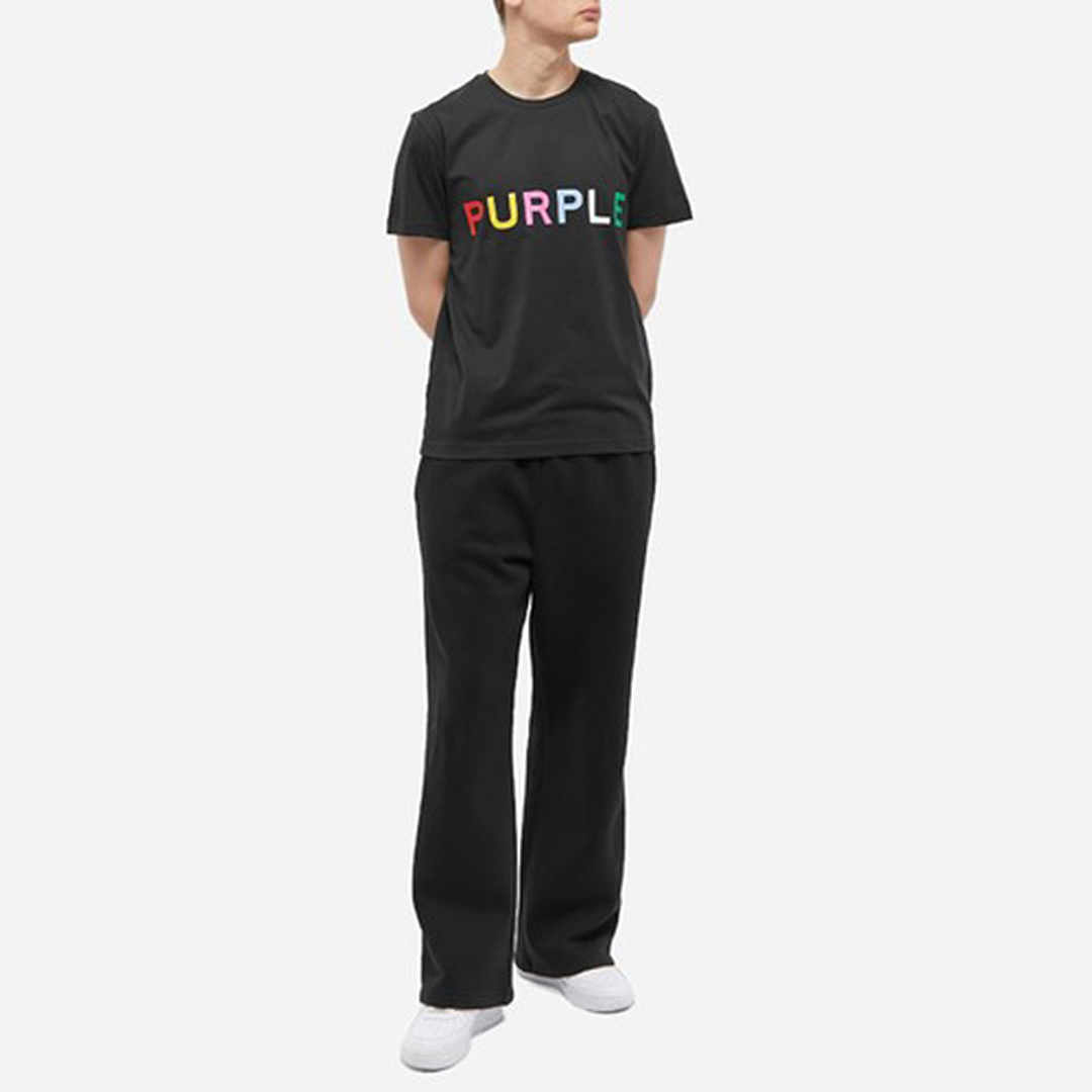 编号3013，外贸美潮Purple Brand经典Logo彩色图案双纱纯棉休闲短袖T恤男女
