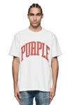 编号3029，外贸美潮Purple Brand橙色弧形Logo印花高品质双纱纯棉休闲短袖T恤男女