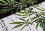 编号916，批50，美式潮牌AMIRI植物花卉小清新图案印花纯棉双纱短袖T恤男女
