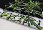 编号916，批50，美式潮牌AMIRI植物花卉小清新图案印花纯棉双纱短袖T恤男女