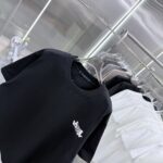 P85 1V 2026秋冬新款重磅360克 重叠字母logo绣花 圆领短袖t恤 上身超舒服🔥男女同款 S M L XL XXL 五个码 黑色 白色 花灰