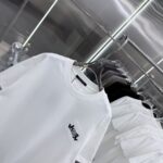 P85 1V 2026秋冬新款重磅360克 重叠字母logo绣花 圆领短袖t恤 上身超舒服🔥男女同款 S M L XL XXL 五个码 黑色 白色 花灰