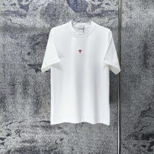 P75 DIOR* 迪奥* 2026新款 精致绣花小logo 300g短袖t恤 宽松版型男女同款 尺码 S M L XL XXL 黑色 白色 紫色 湖水绿