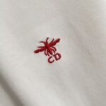 P75 Dio 迪奥2026夏季新款 个性字母logo绣花 短袖T恤 定制面料300g 男女同款 颜色：黑色 白色 绿色 紫色 尺码: S M L XL XXL 五个码