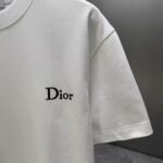 P70 Dior* 迪奥* 2026春夏新款短袖T恤 定制纯棉字母logo植绒 颜色：黑色 白色 棕色 深红 码数：S M L XL XXL