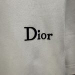 P70 Dior* 迪奥* 2026春夏新款短袖T恤 定制纯棉字母logo植绒 颜色：黑色 白色 棕色 深红 码数：S M L XL XXL