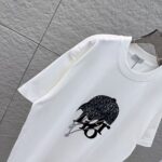 P80 DIO 2026秋冬新款 3D立体硅胶 360克圆领短袖 实物很棒 男女同款宽松版 尺码S M L XL XXL 五个码 黑色 白色 棕色